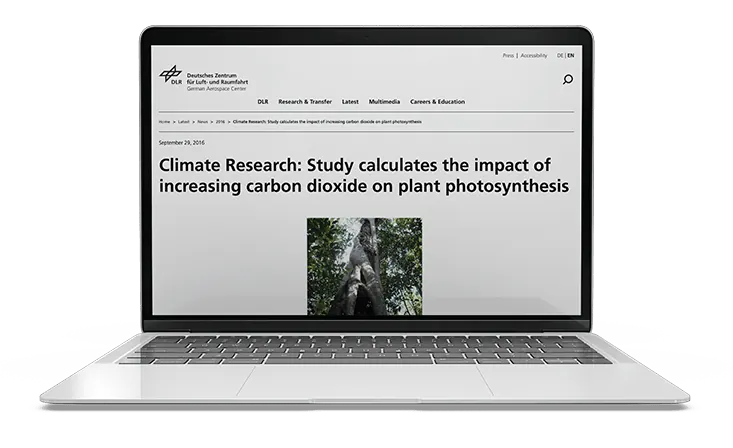 Study calculates the impact of increasing carbon dioxide on plant photosynthesis