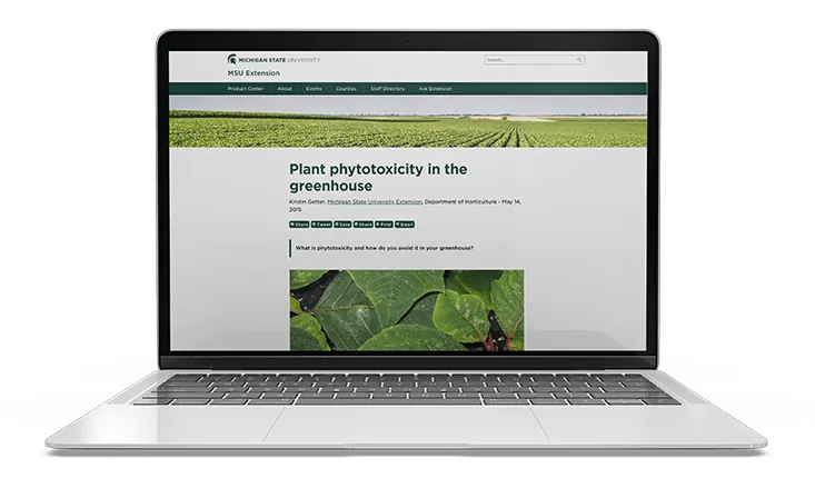 Plant phytotoxicity in the greenhouse